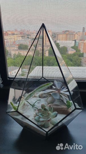 Флорариум 30см. с растениями