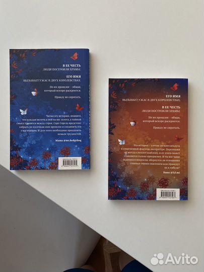 Книга «Сон и Пепел»