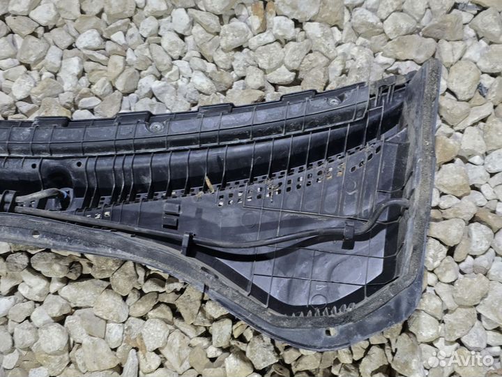 Жабо Солярис 2