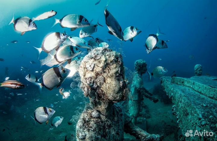 Турпоездка Сиде, Турция на 7 нч. самолет + отель