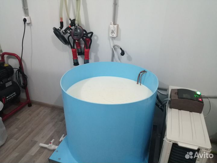 Молоко оптом