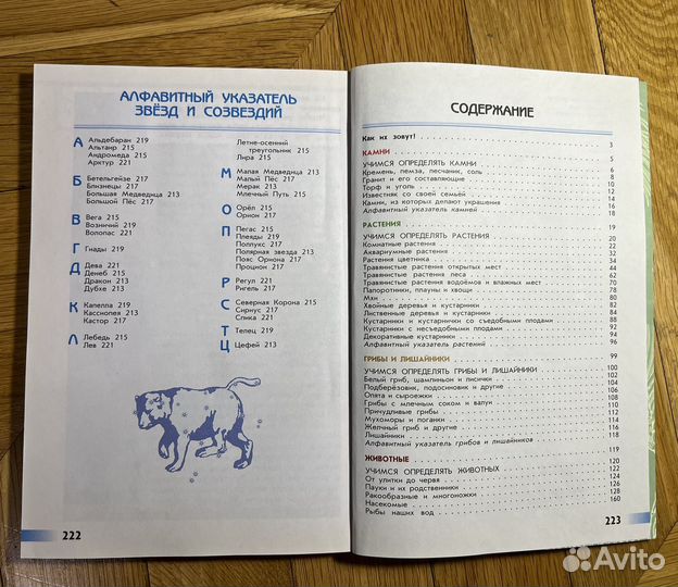 Школьные книги