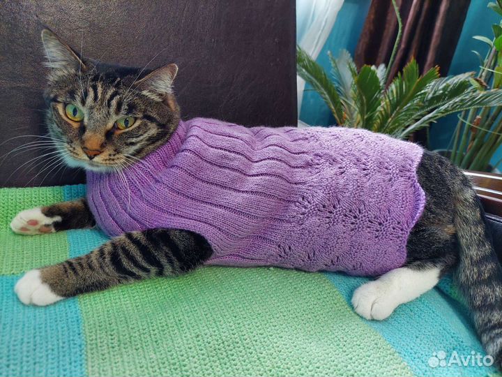 Безрукавка для кошки