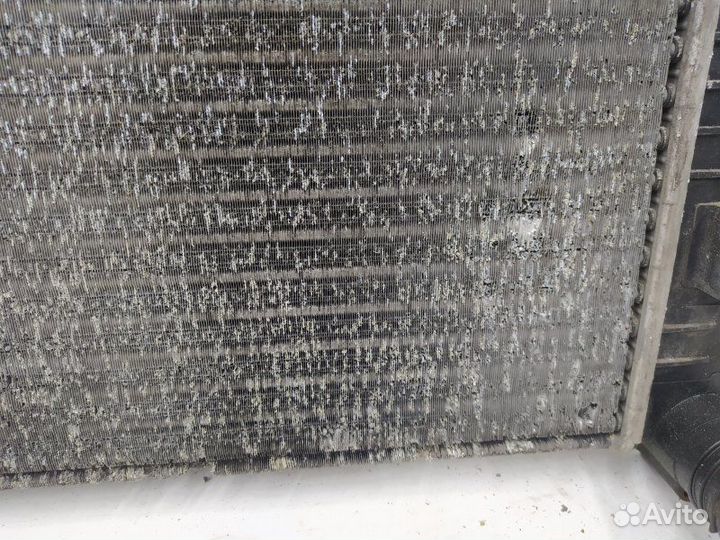 Б/У Б/У Радиатор (основной) Европа. A906000002