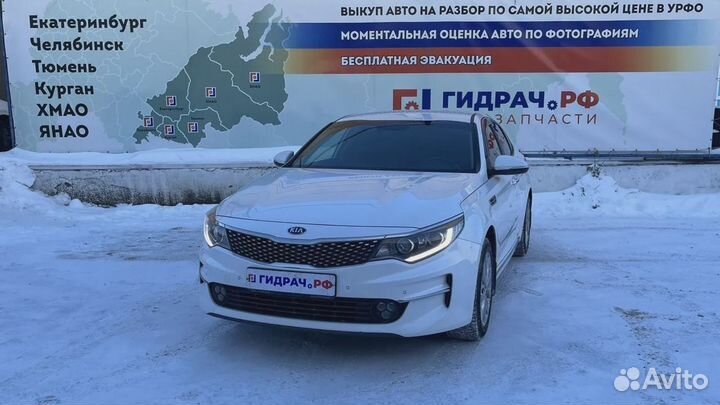 Уплотнитель стекла двери задней левой Kia Optima