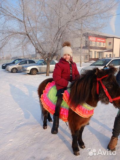 Прокат детей на пони