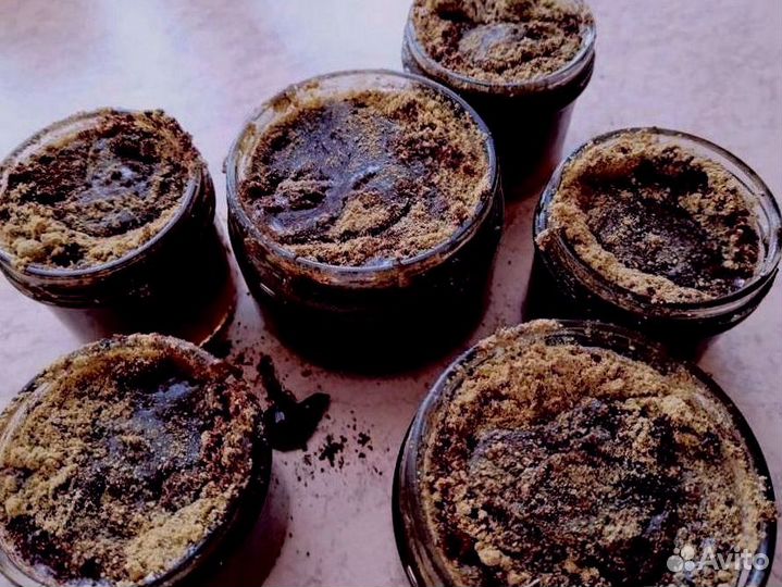 Трибулус для мужчин