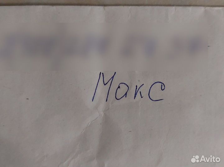 Эстонская гончая