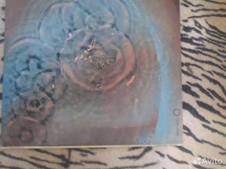 Виниловая пластинка