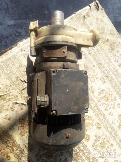 Молочные насосы