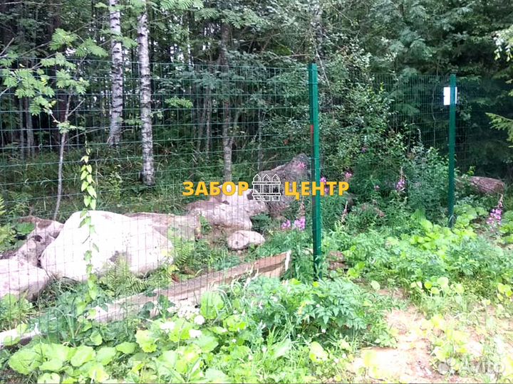 Забор из сварной рулонной сетки, Кобона, пвх