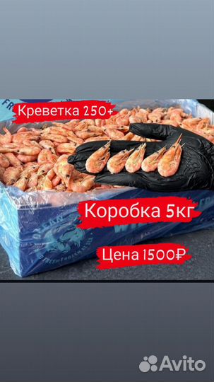 Креветки