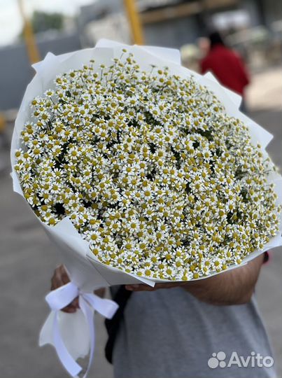 Букеты из ромашек