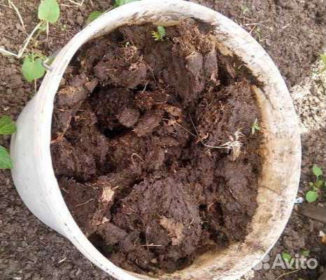 Для подкормки культур