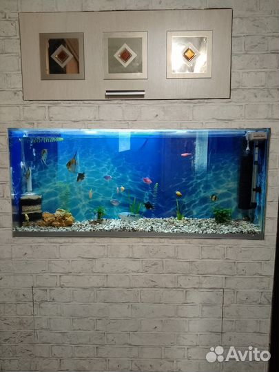 Аквариум