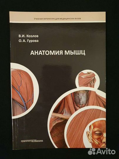 В.И. Козлов, О.А. Гурова Анатомия мышц и Спланхнол
