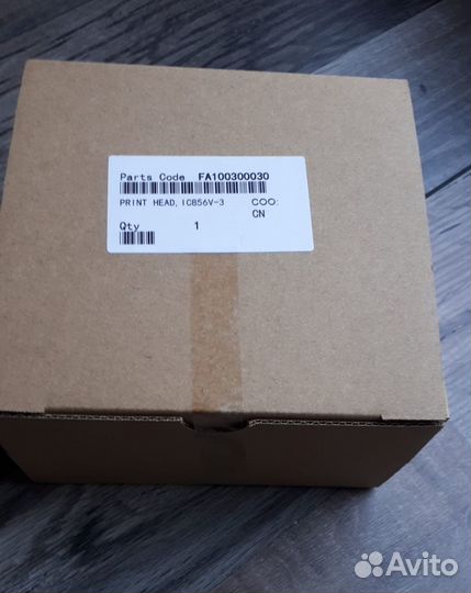 Epson print head FA10030
