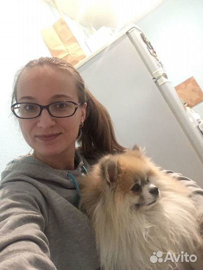 Передержка домашних питомцев