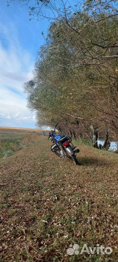 Мопед Alpha 110cm