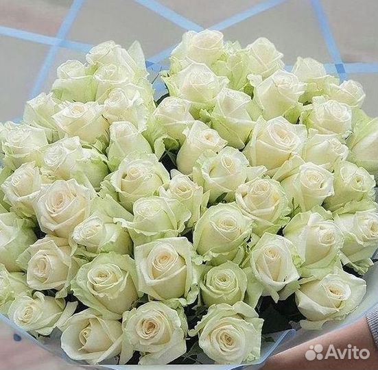 Розы высокие Доставка цветов