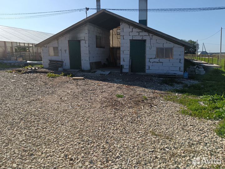 Теплица в аренду