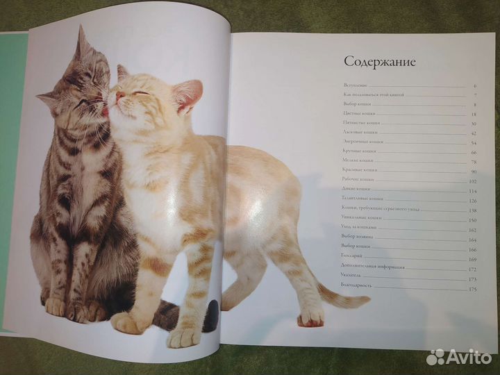 Книга о кошках