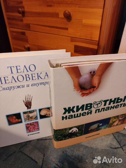 Журналы биография