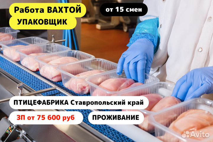 Вахта / Фасовщик / Птицефабрика / г.Невинномысск