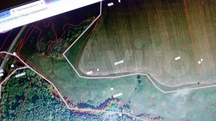 Участок 90 сот. (СНТ, ДНП)