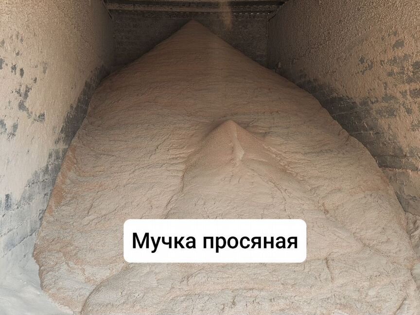 Мучка просяная