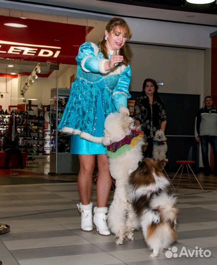 Дрессированные животные на праздник в Москве