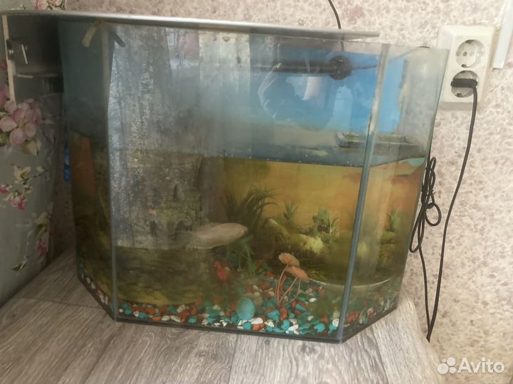 Аквариум