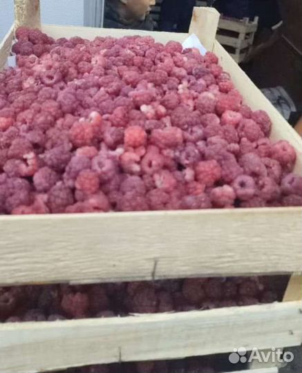 Ягода оптом