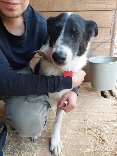 Трусишка Луша из приюта