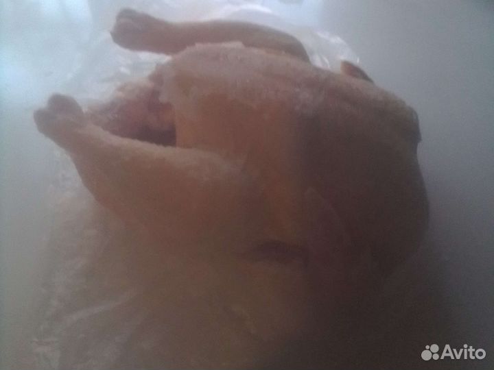 Щипаю уток, кур, гусей