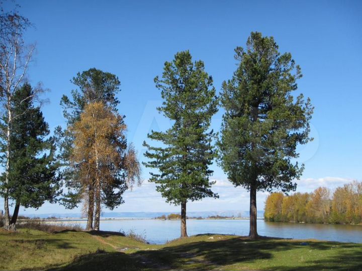 Участок 15 сот. (ИЖС)