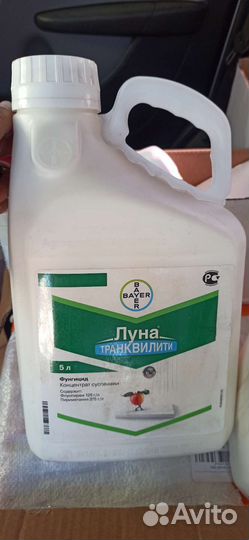 Луна транквилити, 5л, только Крым