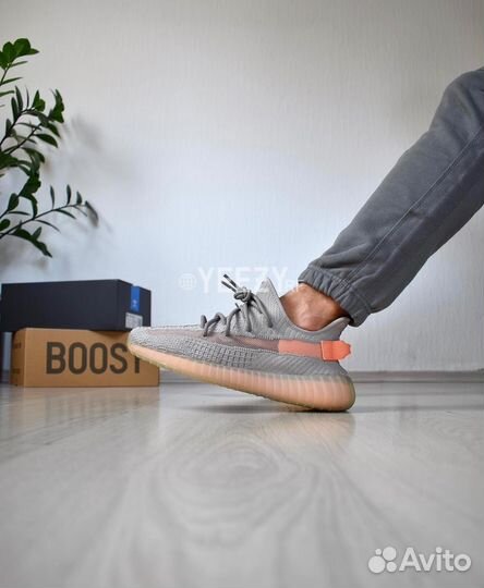 Кроссовки Adidas Yeezy Boost 350 V2 True Form