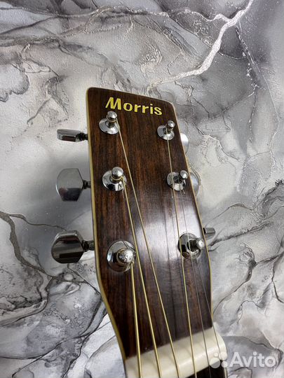 Гитара акустическая Morris W25 made in Japan
