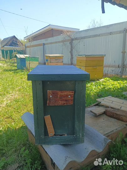 Ловушка для ловли роëв