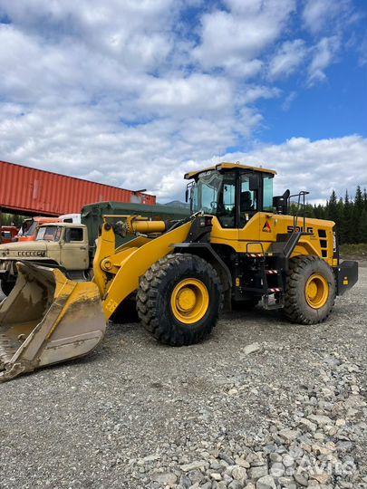 Сдам в аренду фронтальный погрузчик sdlg956FH