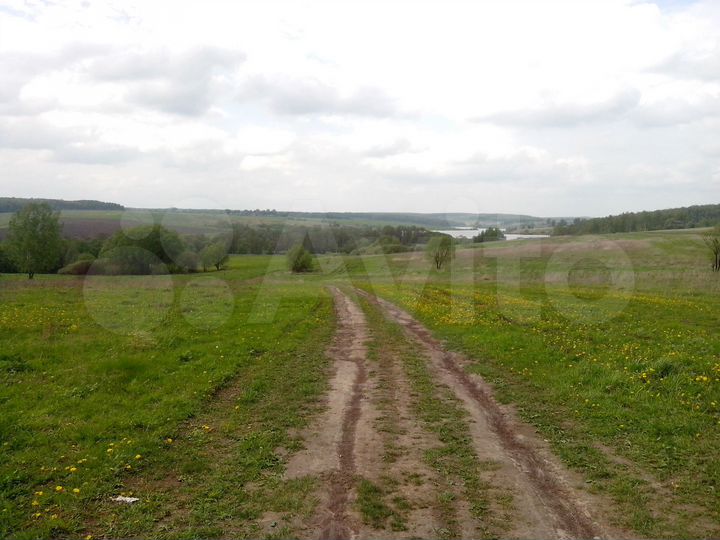 Участок 40 сот. (ИЖС)