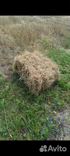 Солома в тюках