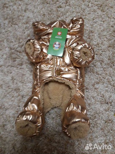 Одежда для собак