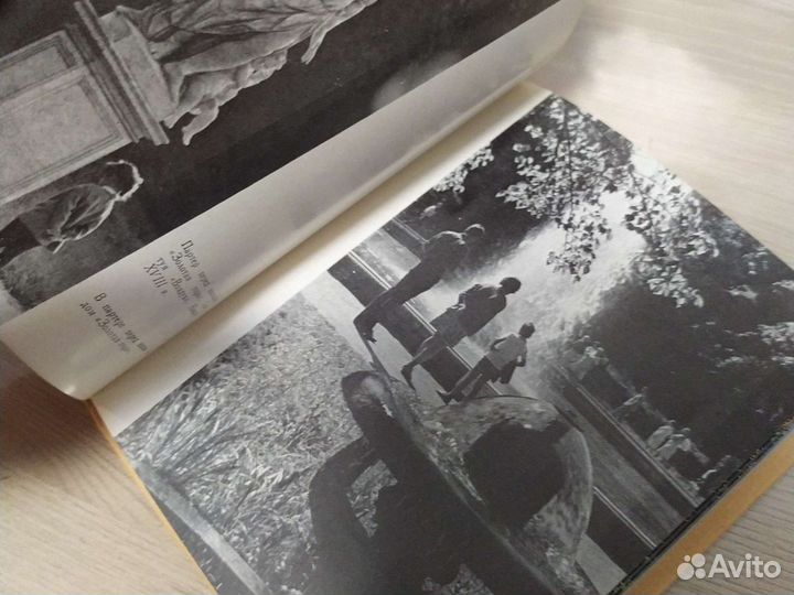 Книга Петродворец Пригороды Ленинграда