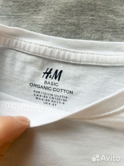 Лонгсливы hm 110/116 5 шт