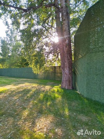 Зелёный забор