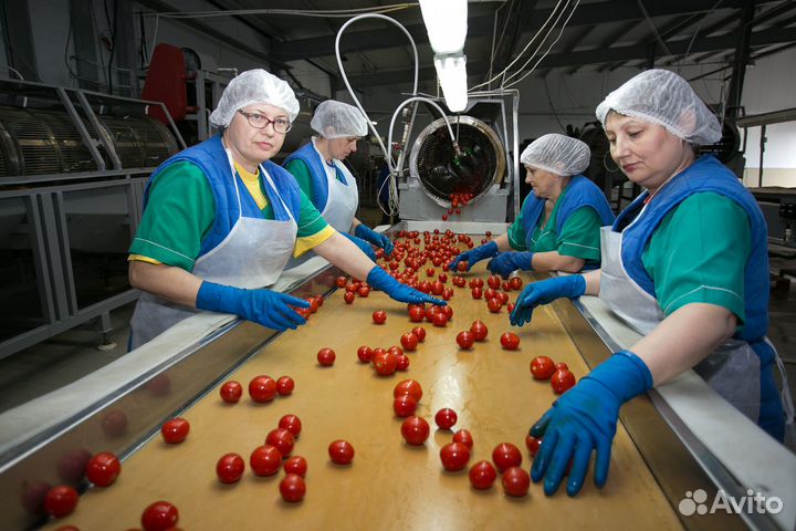 Вахта разнорабочий прожив+питан Славянск-на-Кубани