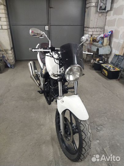 Stels flex 250