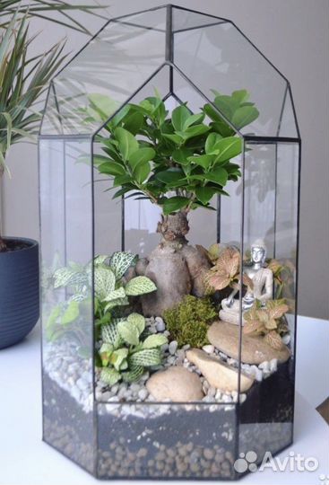 Бонсай флорариум